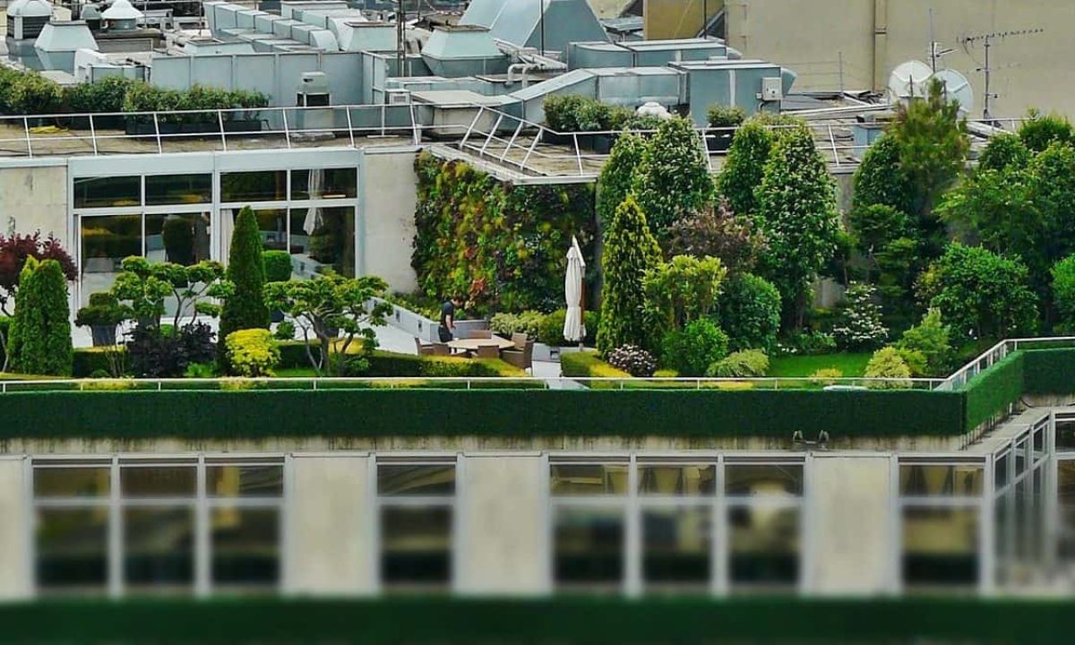 Installer des jardinières sur son balcon à Paris : les bonnes pratiques -  Gamm vert
