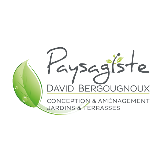 Logo BERGOUGNOUX DAVID