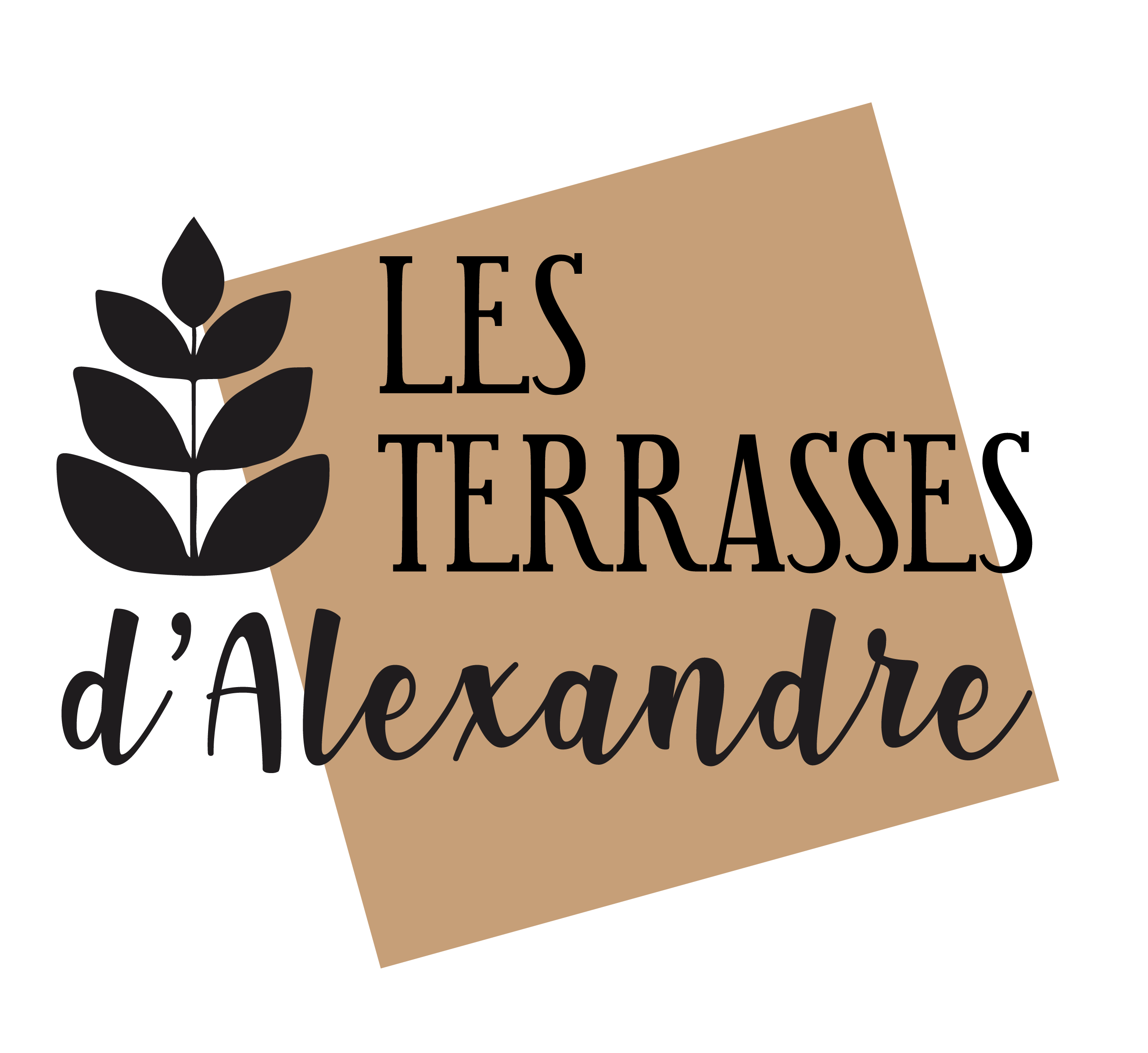 Logo LES TERRASSES D ALEXANDRE