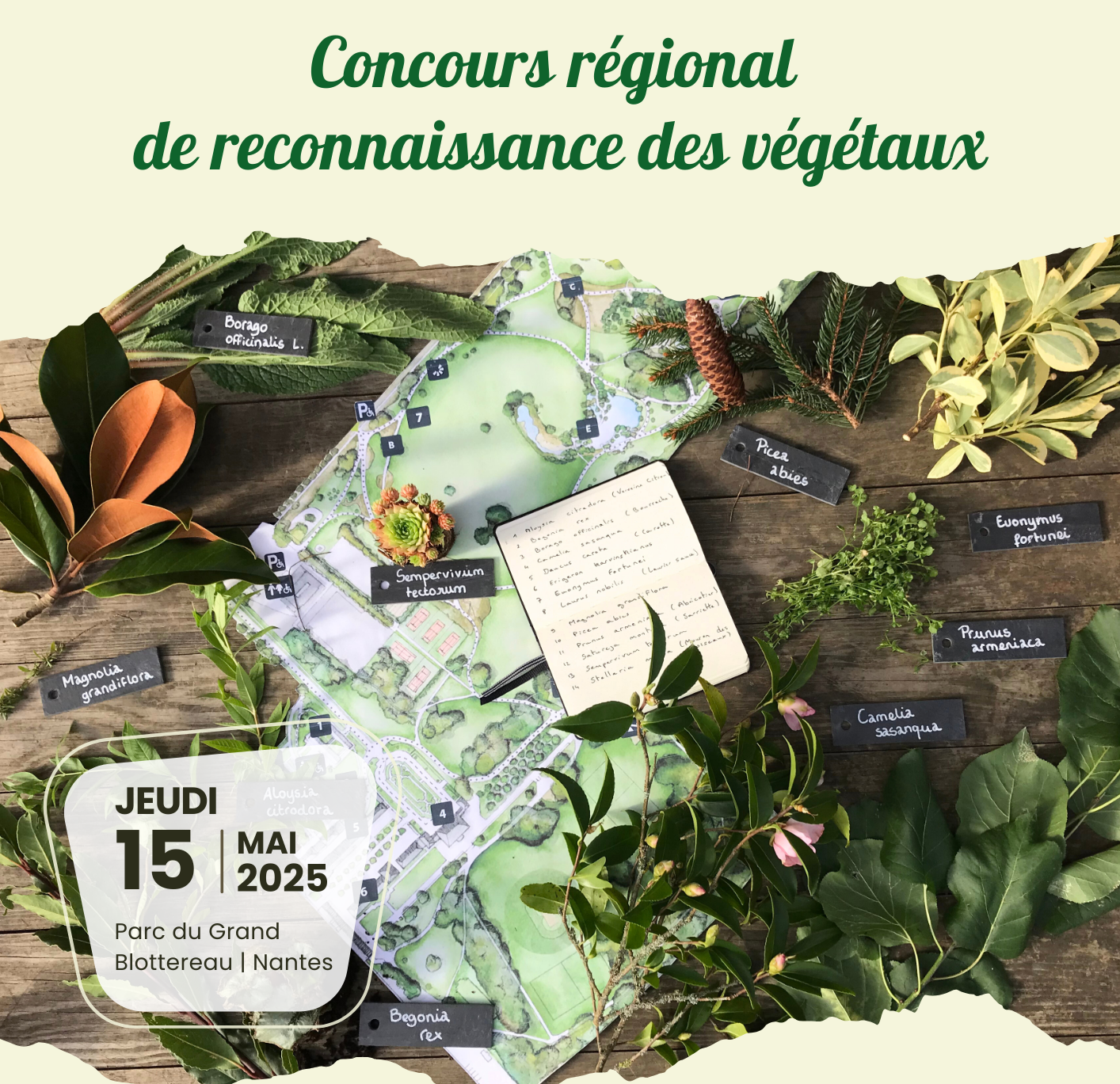 Concours reco 2025