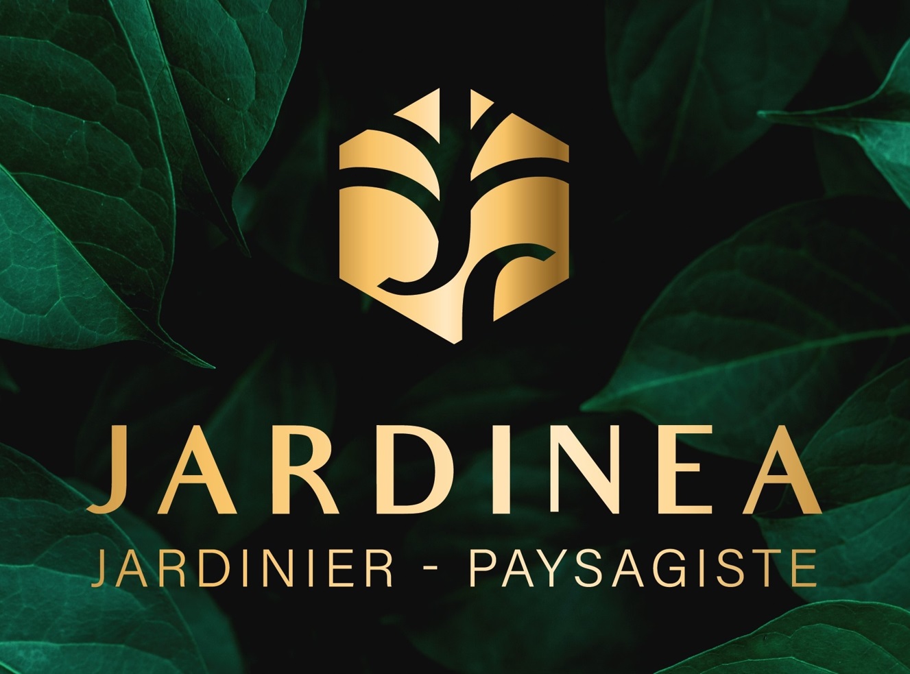 Logo JARDINEO SARL